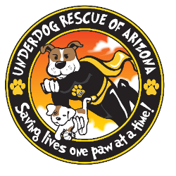 shelter logo
