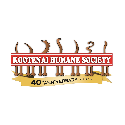 shelter logo