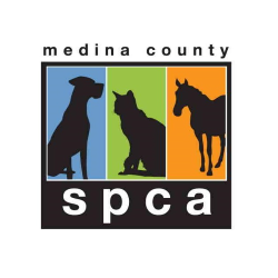 shelter logo