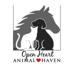 shelter logo