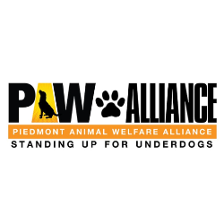 shelter logo