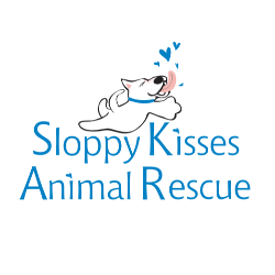 shelter logo
