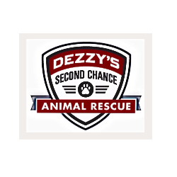 shelter logo