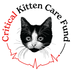 shelter logo