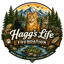 Hagg’s Life Foundation