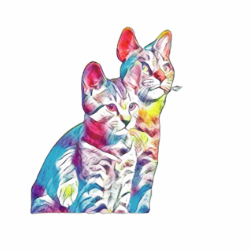 shelter logo
