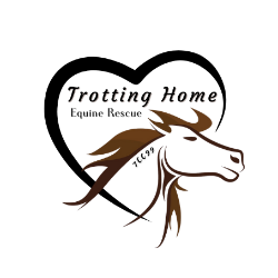 shelter logo