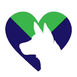 shelter logo