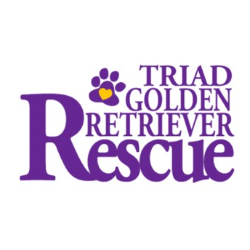 shelter logo
