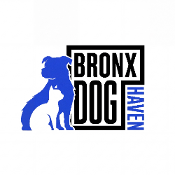 shelter logo