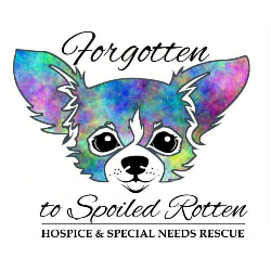 shelter logo