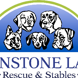 shelter logo
