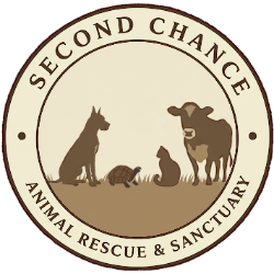 shelter logo