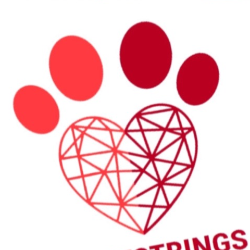 shelter logo