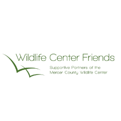 shelter logo