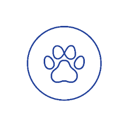 shelter logo