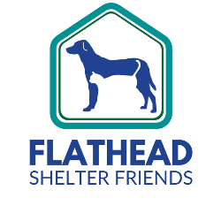shelter logo