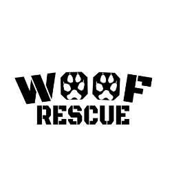 shelter logo