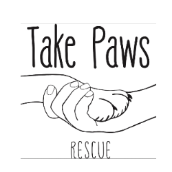 shelter logo