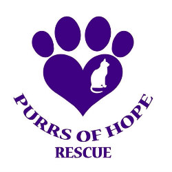 shelter logo
