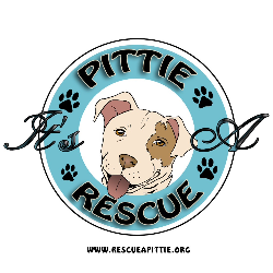 shelter logo