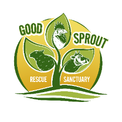 shelter logo