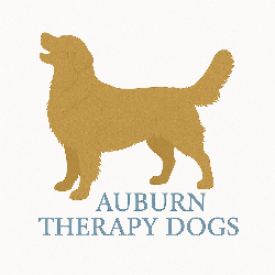 shelter logo