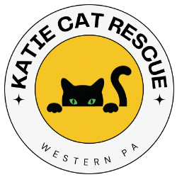 shelter logo