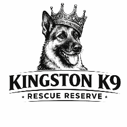 shelter logo