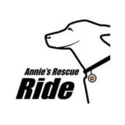 shelter logo