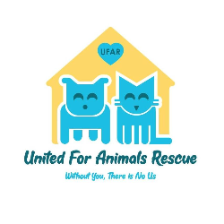 United for Animals Rescue