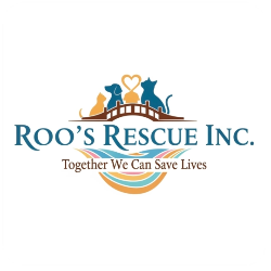 shelter logo
