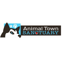 shelter logo