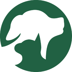 shelter logo