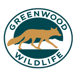 shelter logo