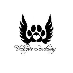shelter logo