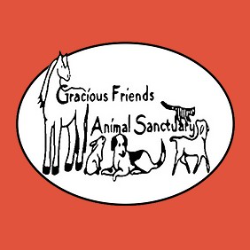 shelter logo