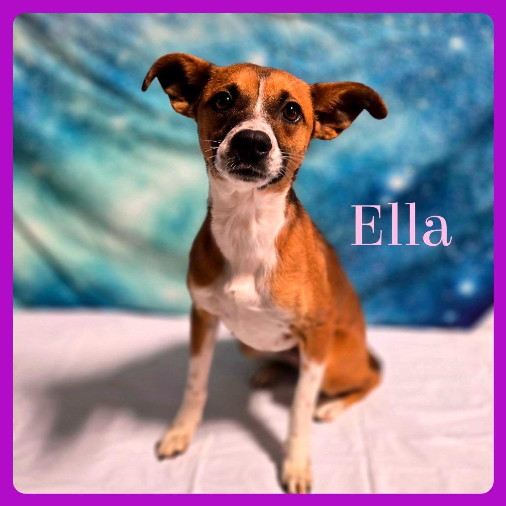 Ella