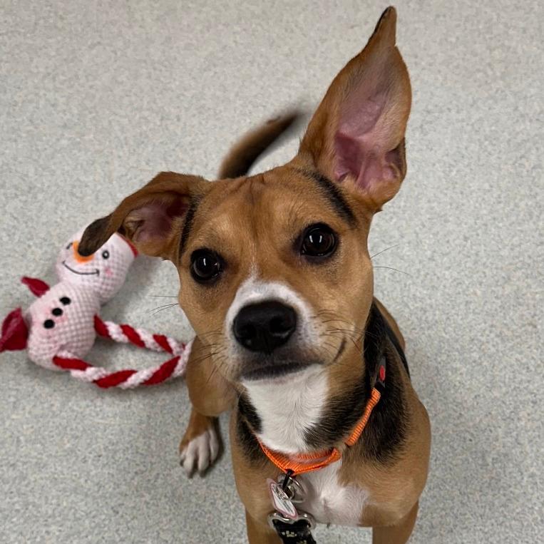 Enzo-In Foster- *see my video!!*