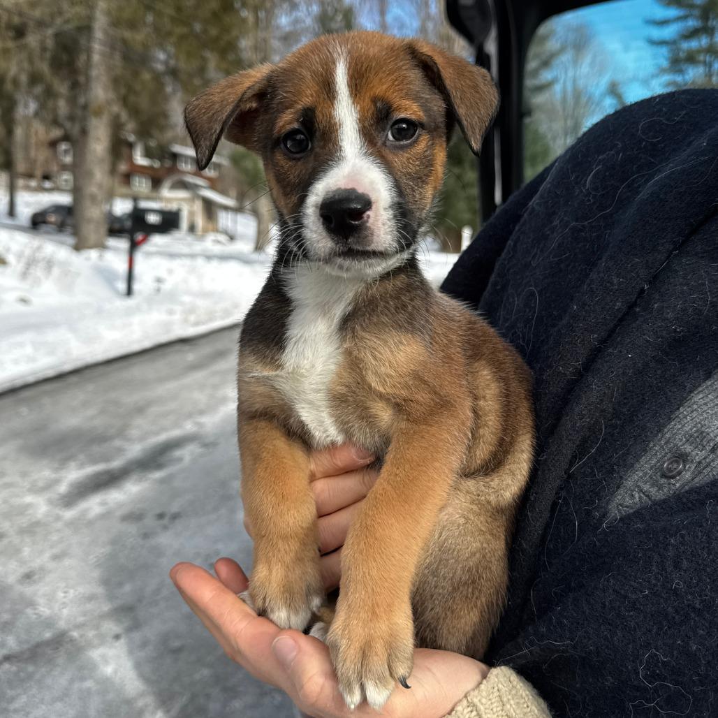 NY September Avail Jan 10th (Tractor Supply Patterson)