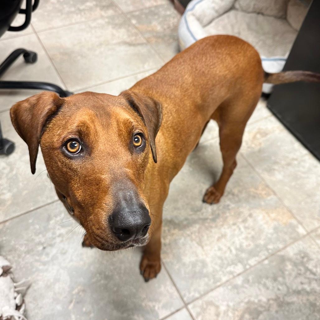 Beefcake "Beefy" McGee