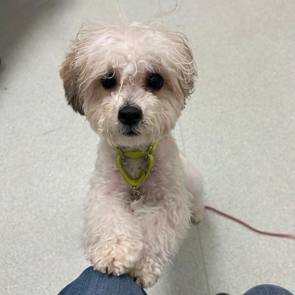 Paisley *see my video!!*