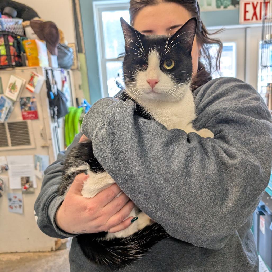 Captain Jack Sparrow