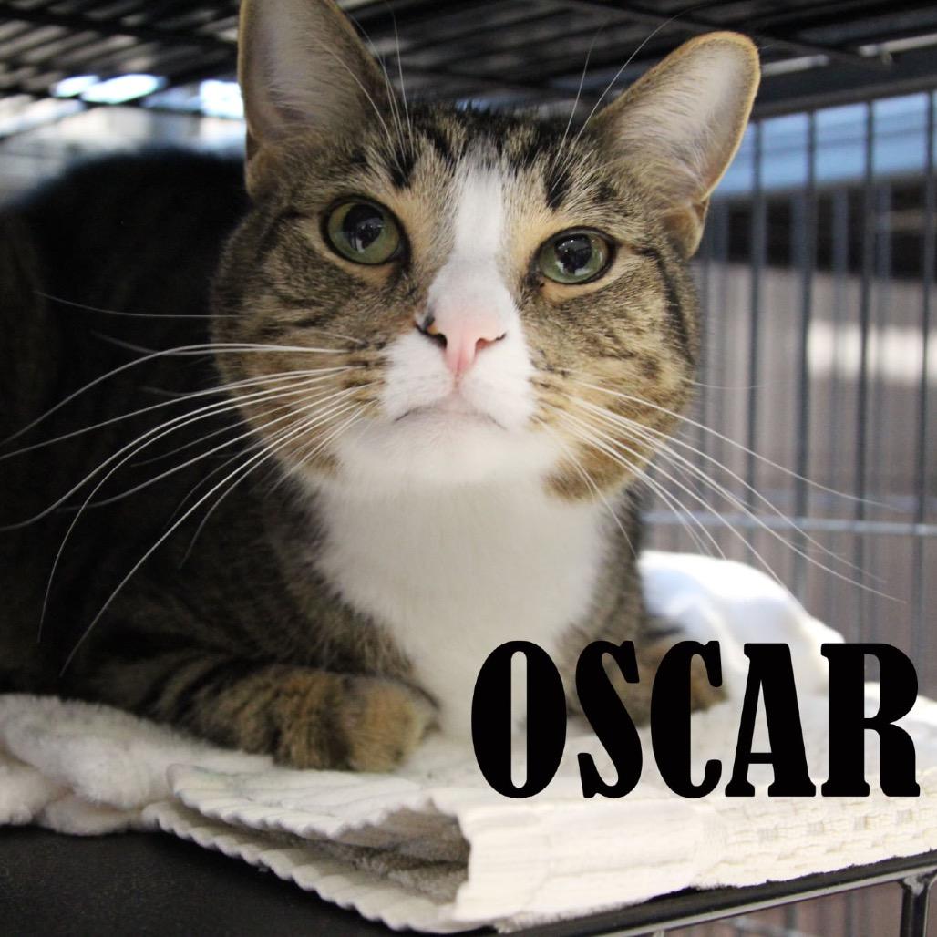 Oscar