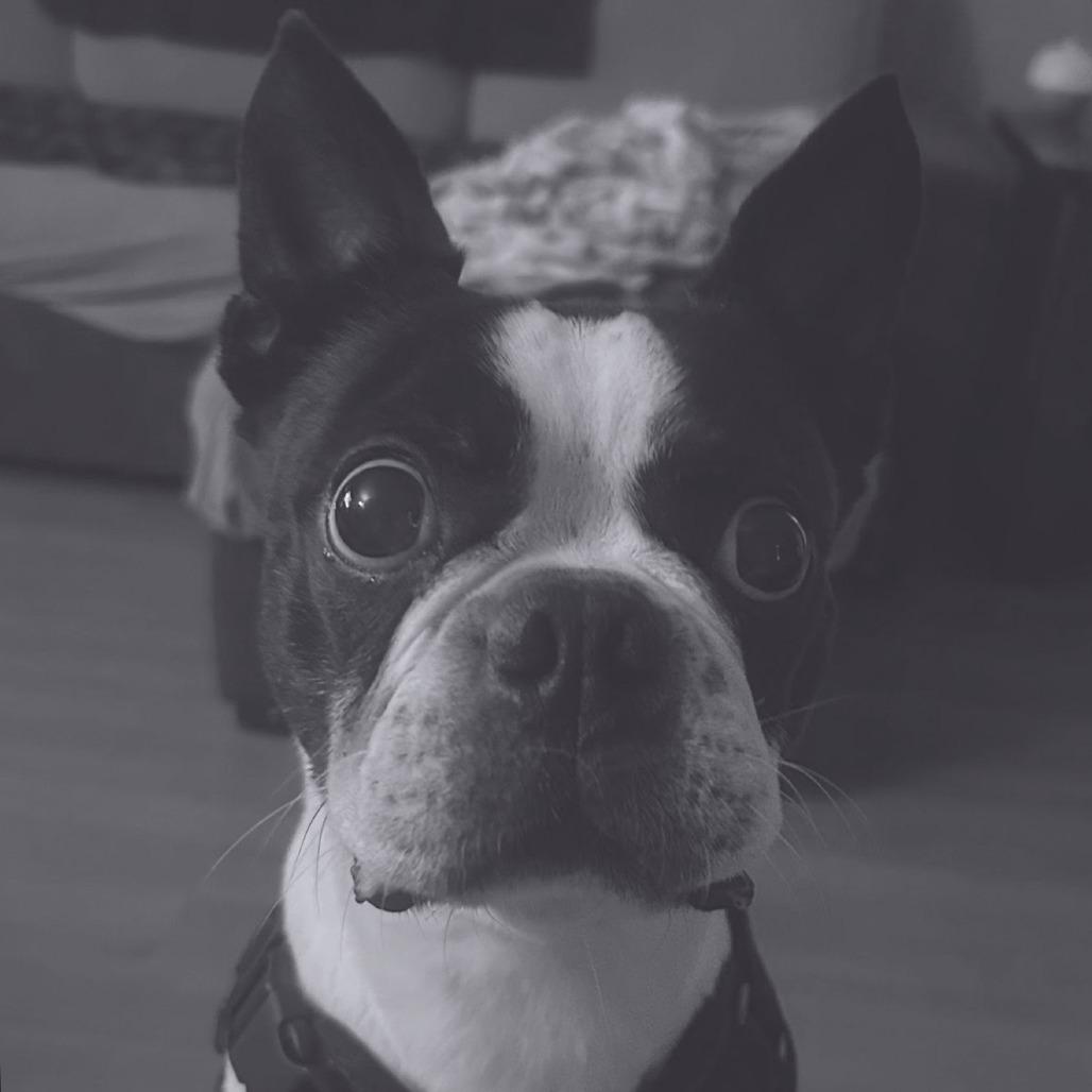 Hank (Hercules) Boston