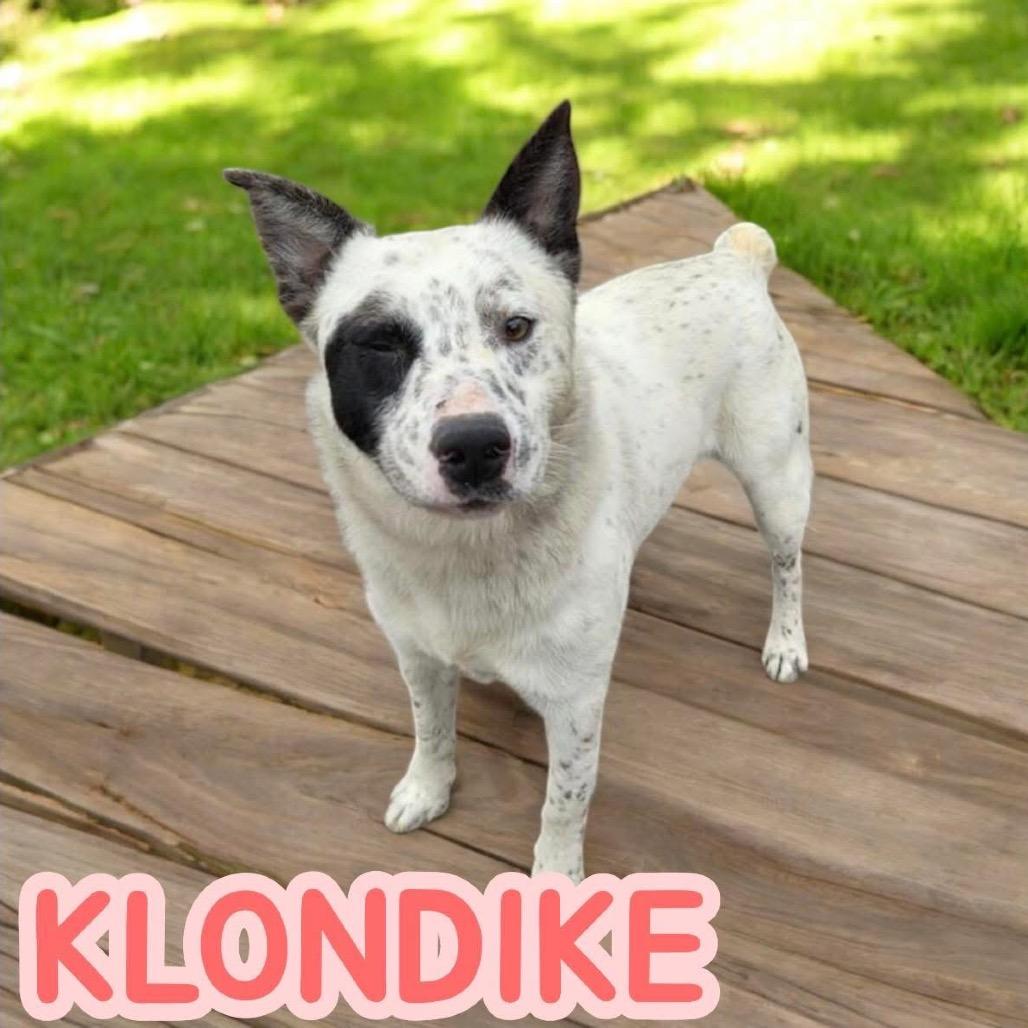Klondike🧗