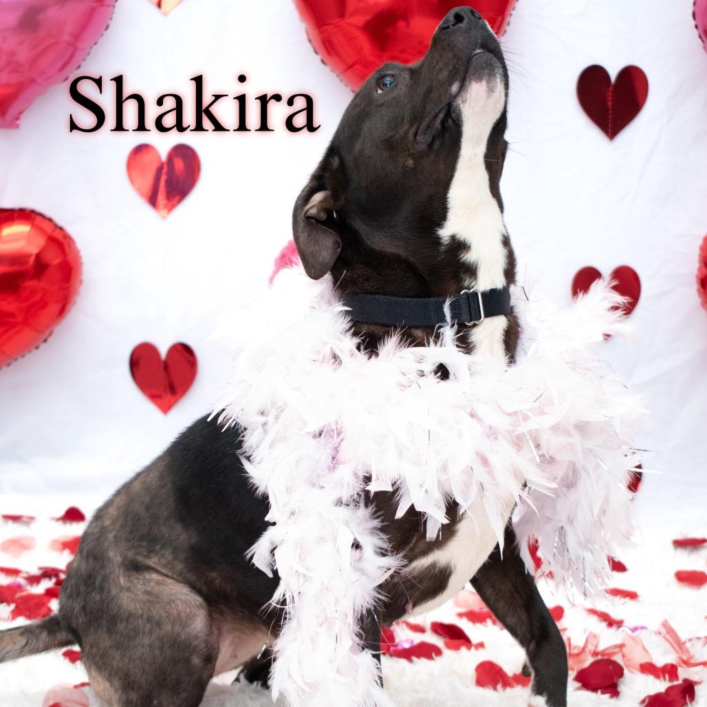 Shakira