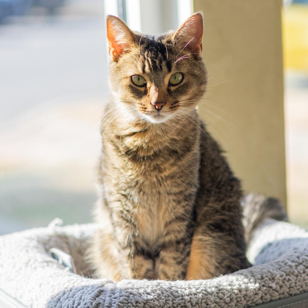 Roxy (bonded with Lori)