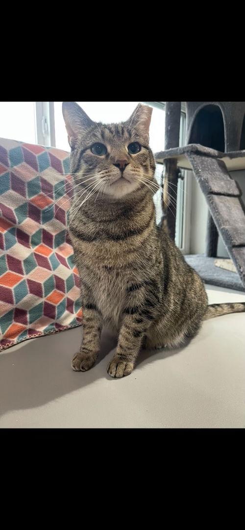 audrey