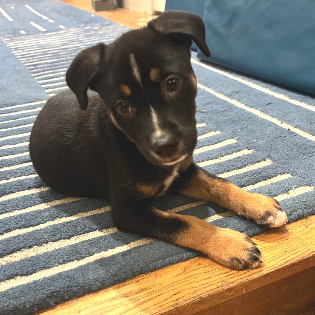 NY April (Foster in Carmel)